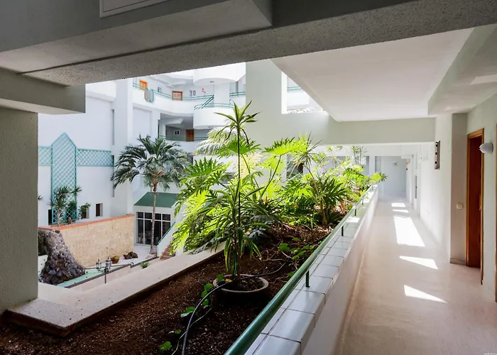 Apartment Palm Breeze Retreat - La Caleta *